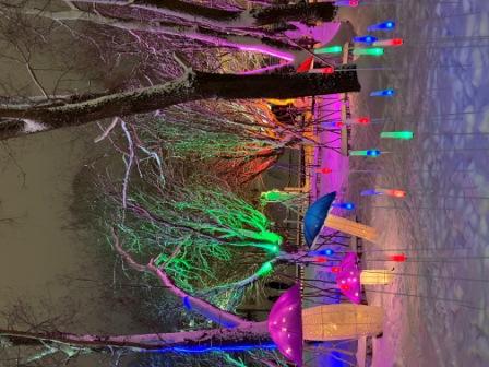 Сезонная трансформация: Как умные декорации меняют облик современного города