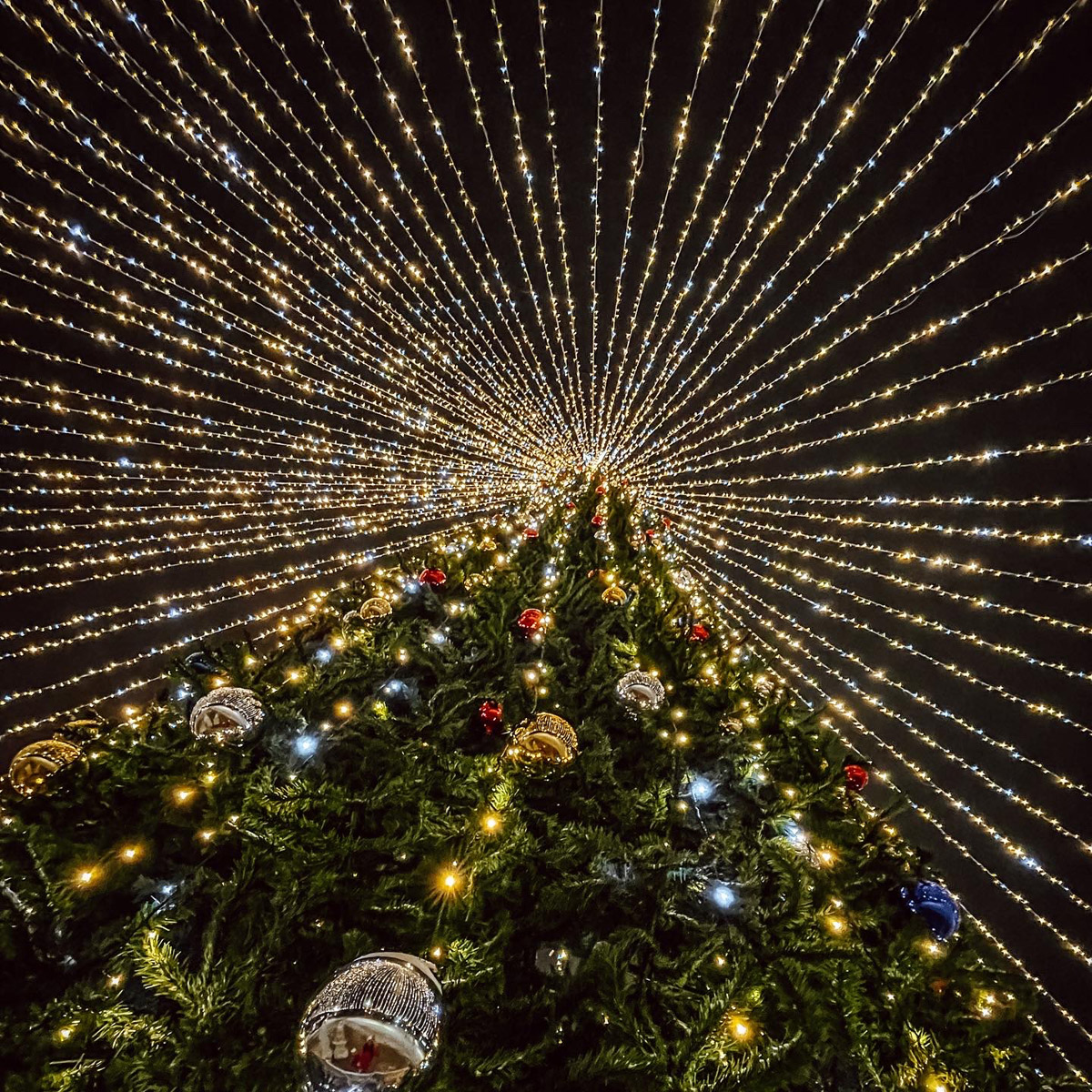 Госзакупки на Новый год: Как получить максимум при минимуме рисков