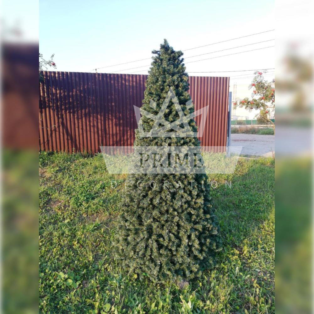 Хвойный конус