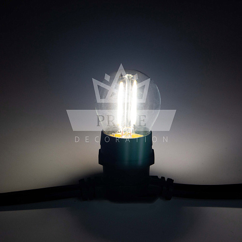 Светодиодная лампа для белт-лайт, 2 Вт, d=45 мм, филаментная, дневная белая