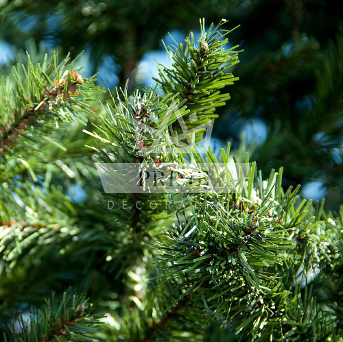 Комплект хвои на ель Уральскую