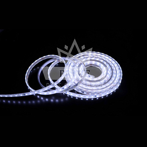 Светодиодная лента Комета, 5 м, 300 LED, 24В, белая, прозрачный силикон